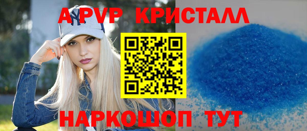 Alfa_PVP СК Нижний Новгород