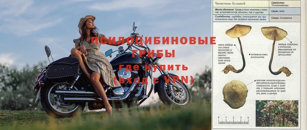 не бодяженный Липки