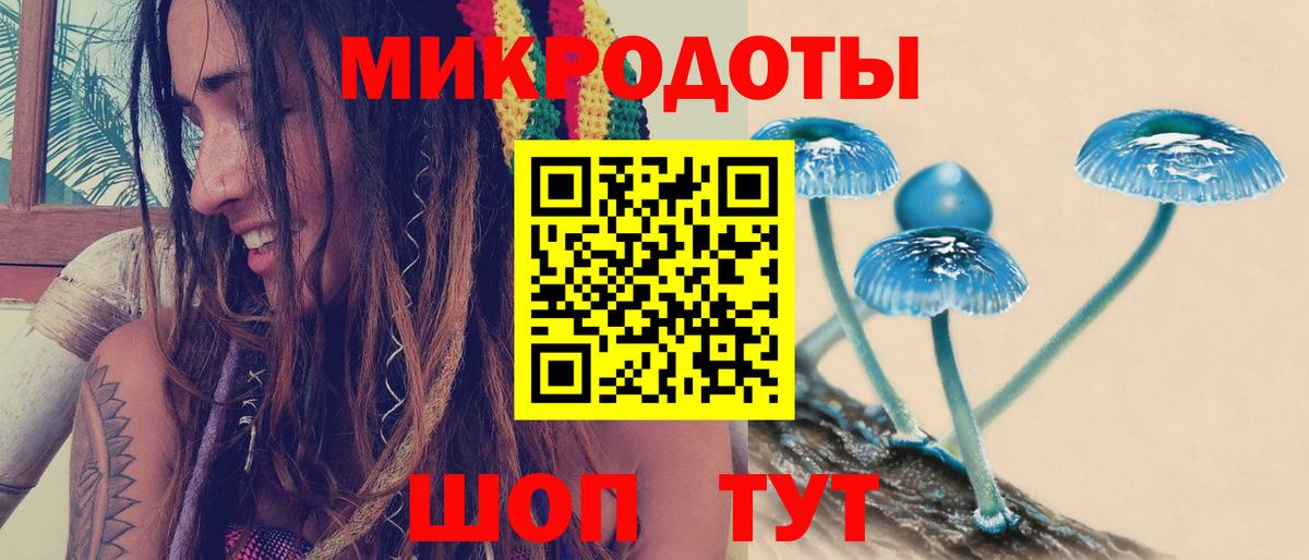 Нижний Новгород  Галлюциногенные грибы мухоморы  купить наркотики цена  Вход с VPN 