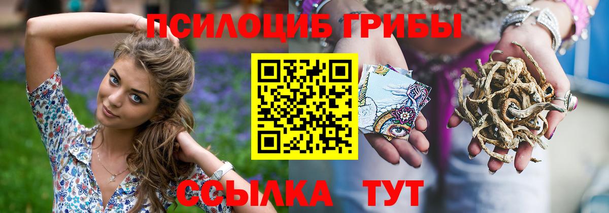 купить  сайты  Нижний Новгород  Галлюциногенные грибы Psilocybe  Псилоцибиновые грибы GOLDEN TEACHER 