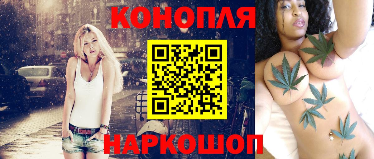 МАРИХУАНА ГИДРОПОН  Бошки марихуана гибрид  Вход с VPN  Бошки Шишки семена  Нижний Новгород 